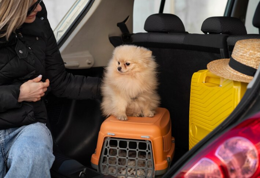 The Ultimate Guide to Pet Travel Accessories: Everything You Need for a Seamless Journey